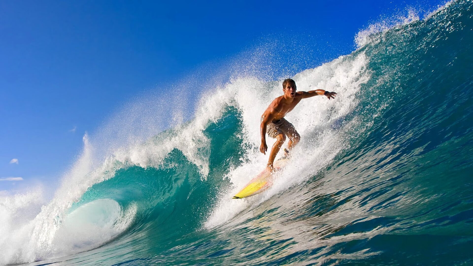 AYX SPORTS-李冰洁：每一次冲刺都是对自己的挑战，李冰洁夺冠