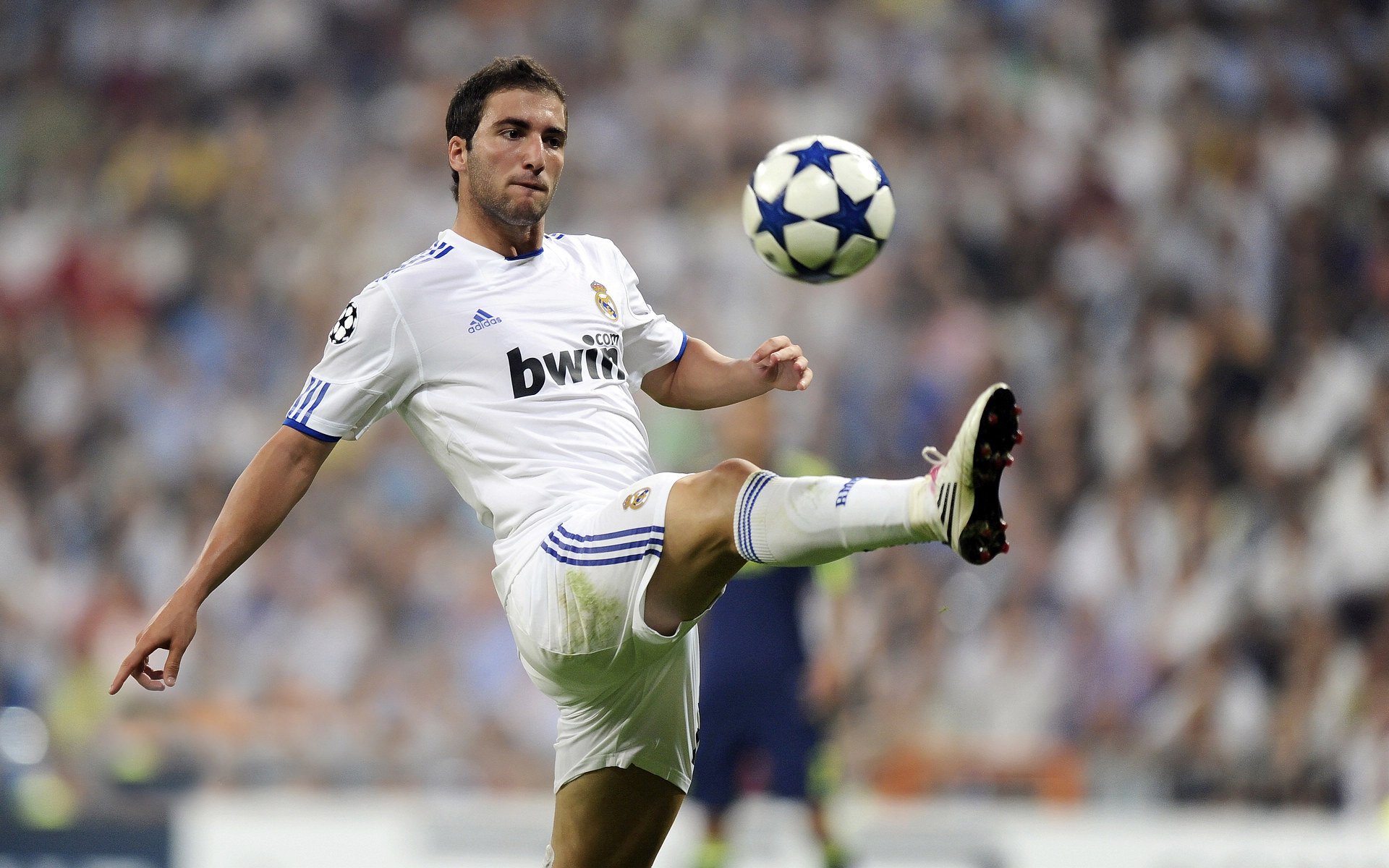 荷兰队在欧洲预赛中持续领先，晋级希望大增